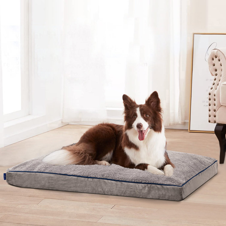 Wainwrights dog bed outlet memory foam